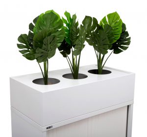 go-planter-box